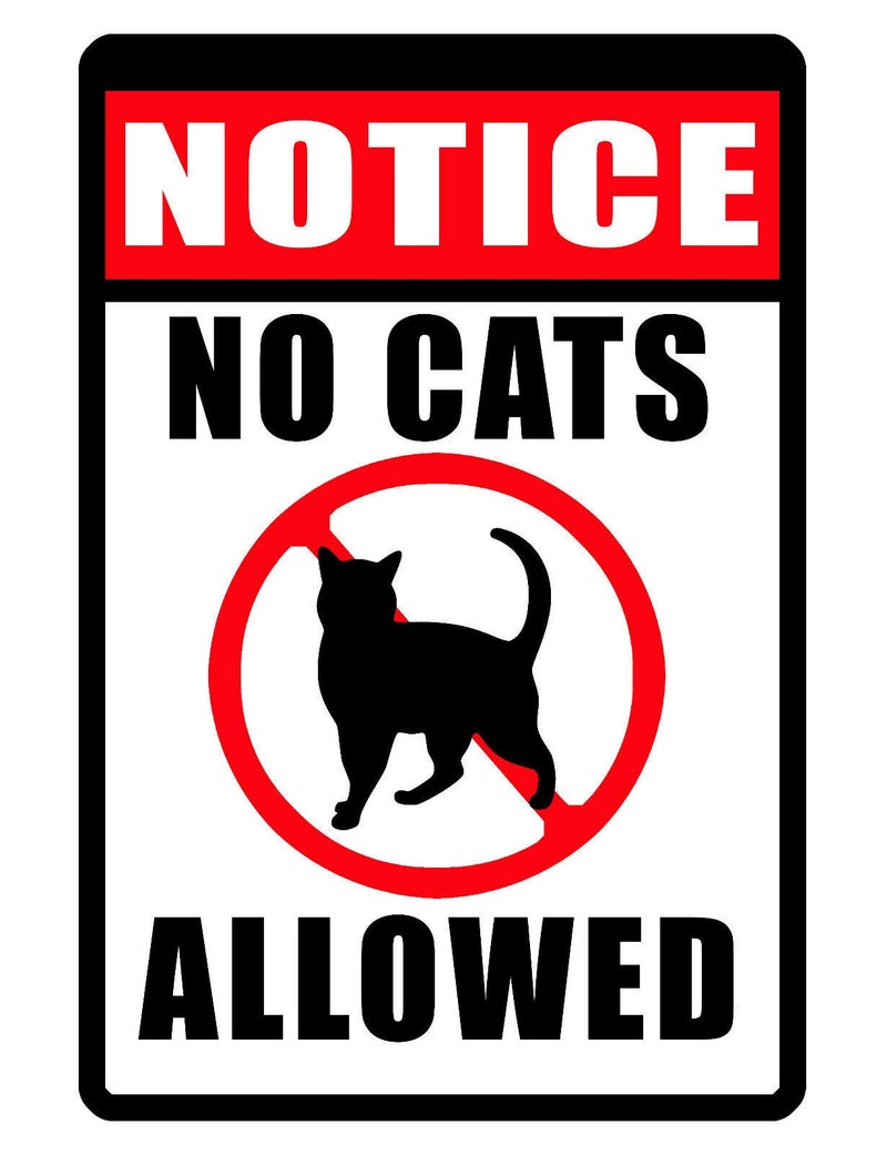 ZMKDLL Notice No Cats Allowed Rustic Retro Shabby Chic Metal Tin Sign Garage Vintage Garden House Wall Decor 12X8 Inch - Image 1